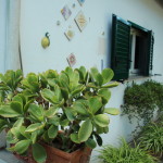 1-IMG_3134