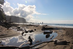 Olympic National Park – Exploring 3 Ecosystems