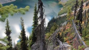 Three colorful fall walks in the North Cascades